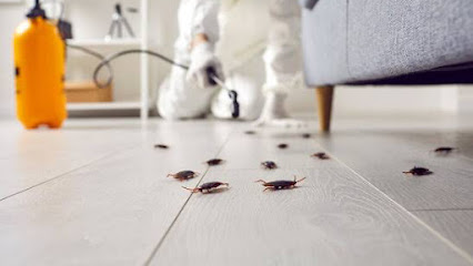 Deshmukh Pest Control