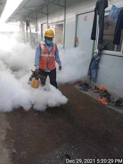 Thote pest control service
