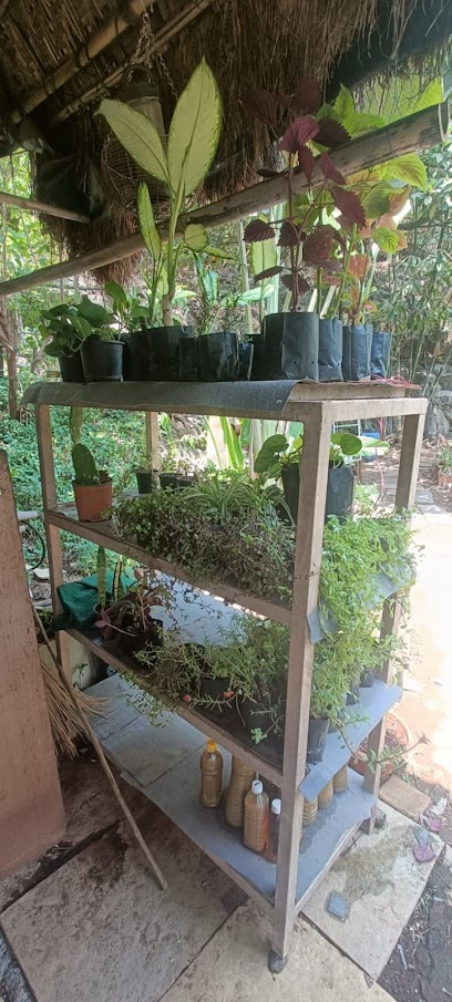UrbanSoil Nursery & Garden Center